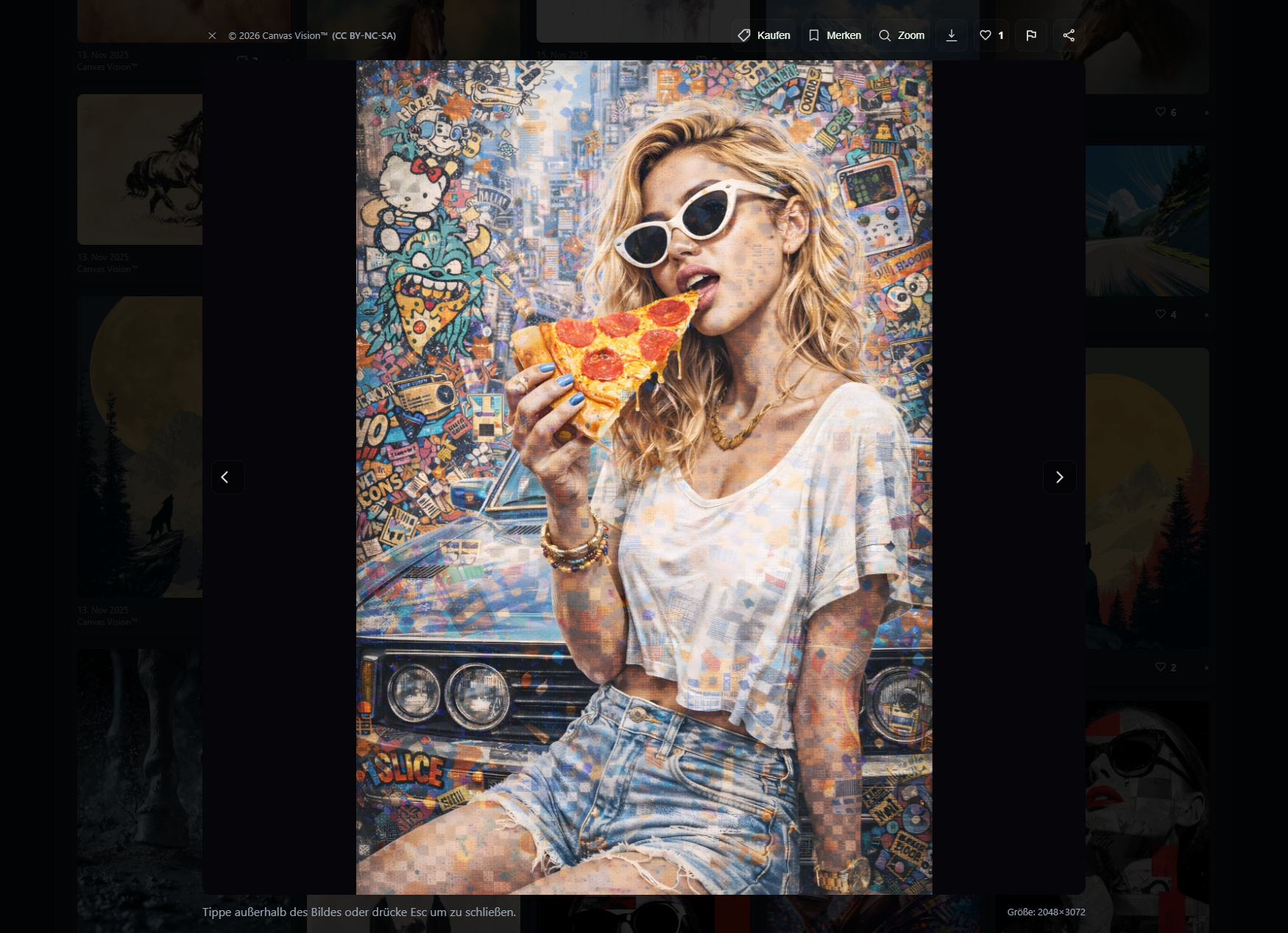 Canvas Vision™ (Community) – Fotos 2